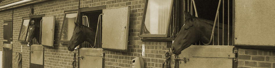 Nick Moore and the team